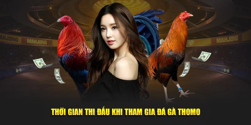 Thời gian thi đấu khi tham gia đá gà Thomo