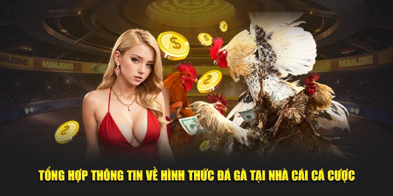 Tổng hợp thông tin về hình thức giải trí thú vị tại nhà cái cá cược