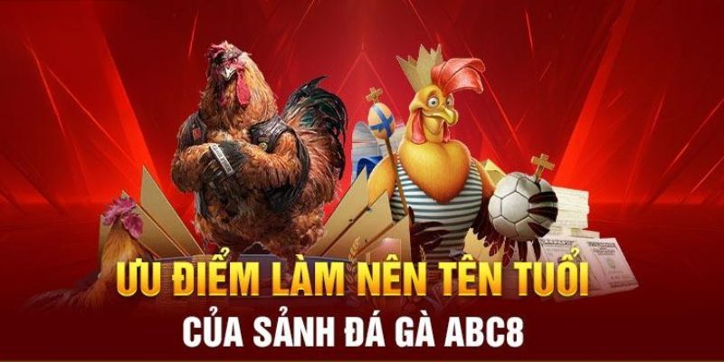 Ưu thế lớn của nền tảng đá gà ACB8